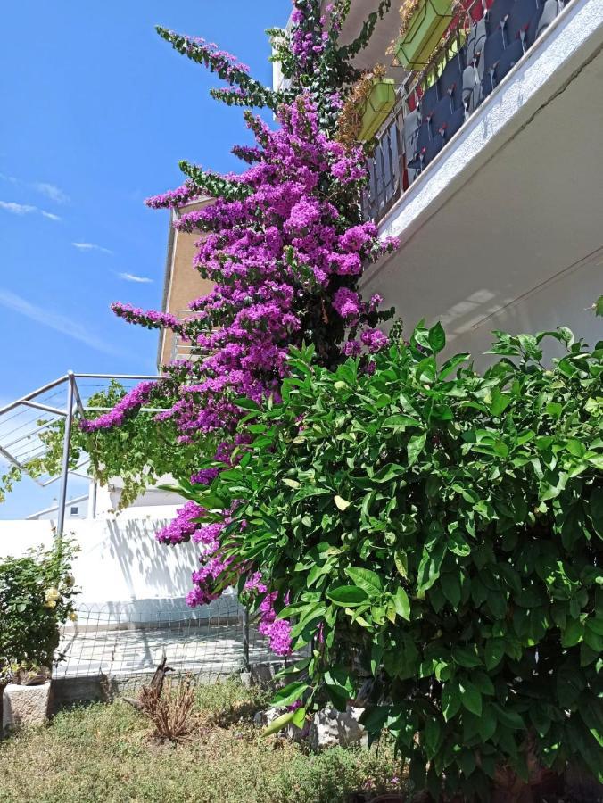 New! Apartment Terrazen Split - Free Car Parking Exterior foto